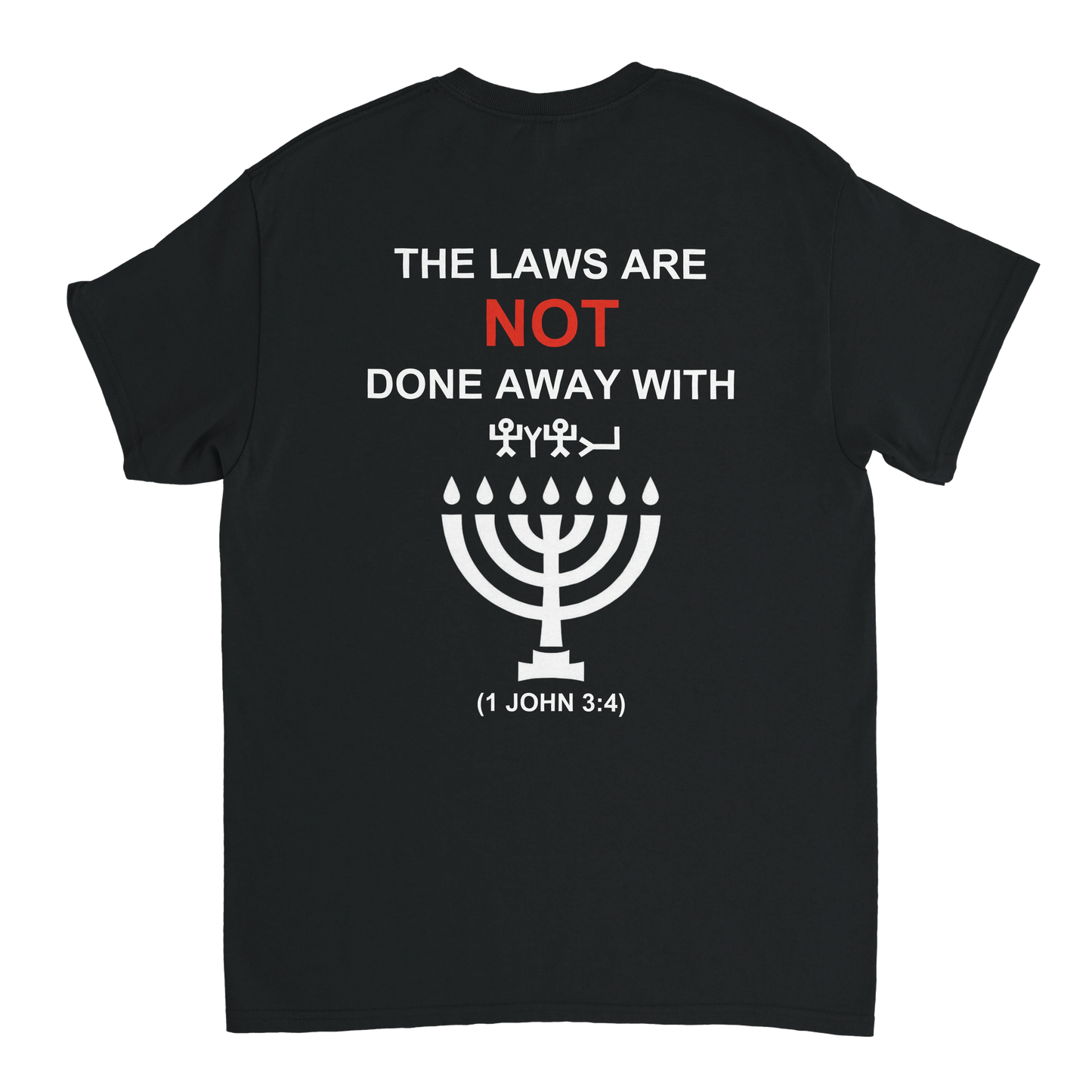 WRITTEN IN STONE (T-SHIRT)🔥